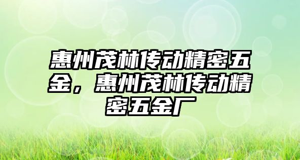 惠州茂林傳動精密五金，惠州茂林傳動精密五金廠