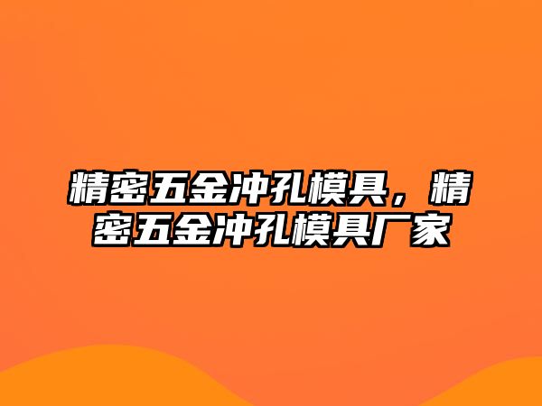 精密五金沖孔模具，精密五金沖孔模具廠家