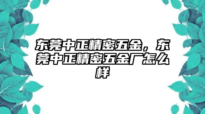 東莞中正精密五金，東莞中正精密五金廠怎么樣