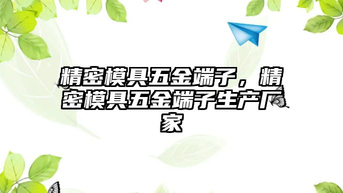 精密模具五金端子，精密模具五金端子生產(chǎn)廠家