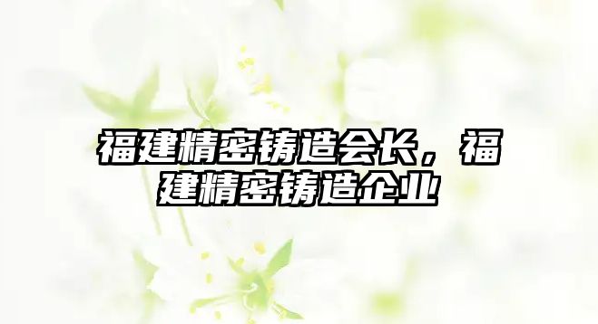 福建精密鑄造會(huì)長，福建精密鑄造企業(yè)