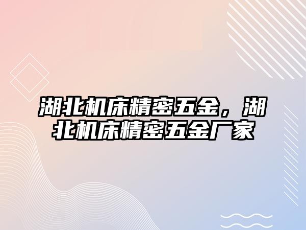 湖北機床精密五金，湖北機床精密五金廠家