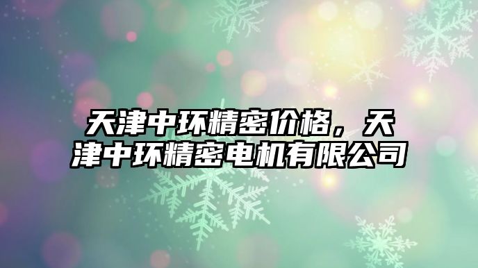 天津中環(huán)精密價格，天津中環(huán)精密電機有限公司