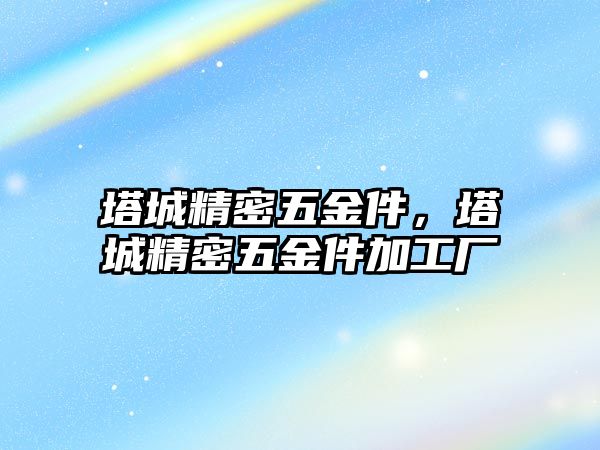 塔城精密五金件，塔城精密五金件加工廠