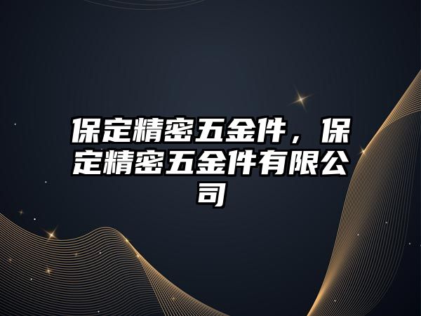 保定精密五金件，保定精密五金件有限公司