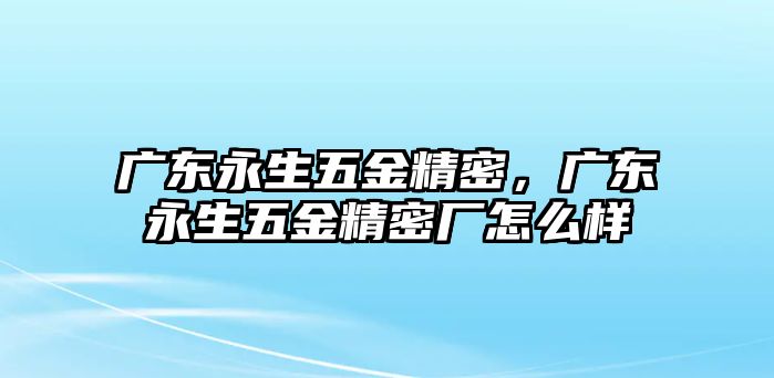 廣東永生五金精密，廣東永生五金精密廠怎么樣