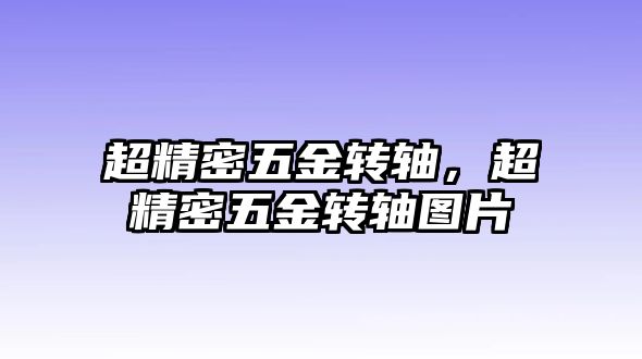 超精密五金轉軸，超精密五金轉軸圖片