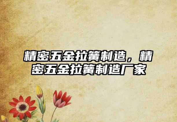 精密五金拉簧制造，精密五金拉簧制造廠家