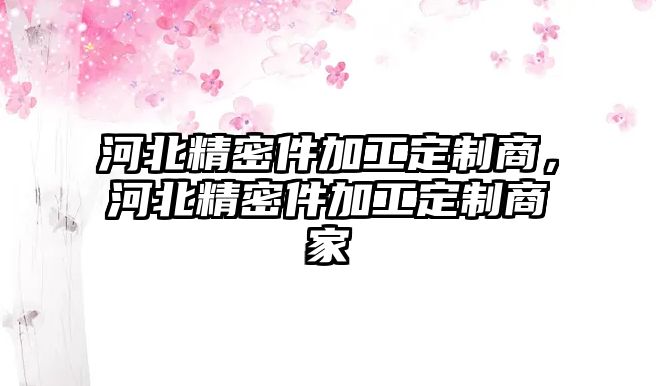 河北精密件加工定制商，河北精密件加工定制商家