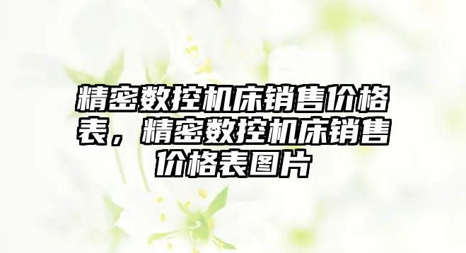 精密數控機床銷售價格表，精密數控機床銷售價格表圖片