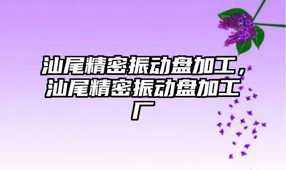 汕尾精密振動盤加工，汕尾精密振動盤加工廠