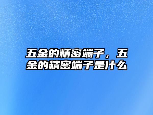 五金的精密端子，五金的精密端子是什么