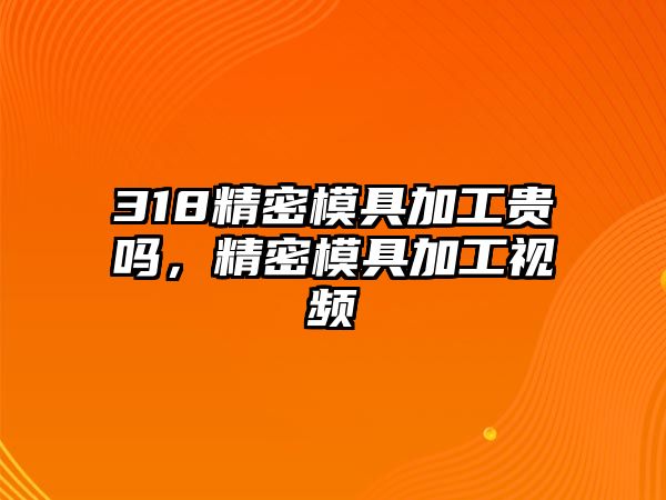 318精密模具加工貴嗎，精密模具加工視頻