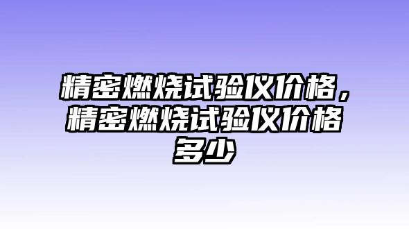 精密燃燒試驗儀價格，精密燃燒試驗儀價格多少