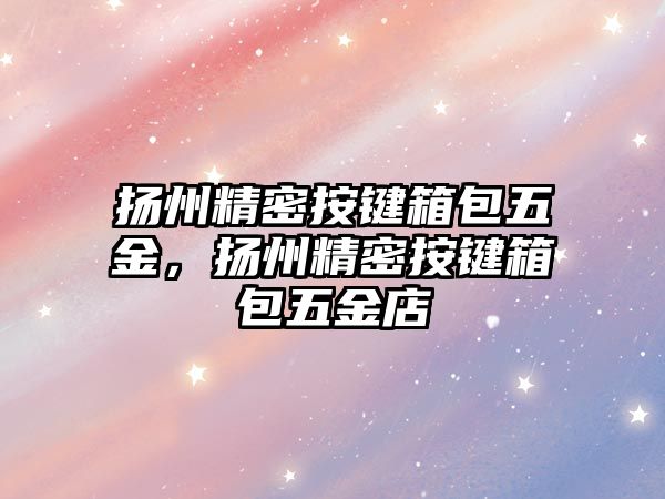 揚(yáng)州精密按鍵箱包五金，揚(yáng)州精密按鍵箱包五金店