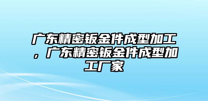 廣東精密鈑金件成型加工，廣東精密鈑金件成型加工廠家