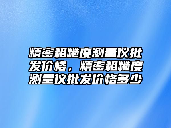 精密粗糙度測量儀批發(fā)價格，精密粗糙度測量儀批發(fā)價格多少