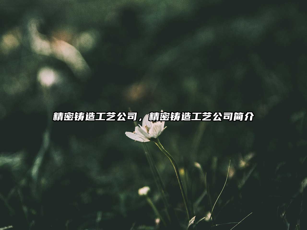 精密鑄造工藝公司，精密鑄造工藝公司簡(jiǎn)介