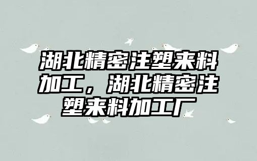 湖北精密注塑來料加工，湖北精密注塑來料加工廠