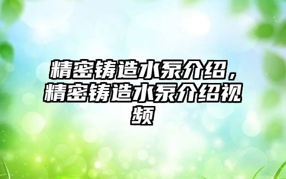 精密鑄造水泵介紹，精密鑄造水泵介紹視頻