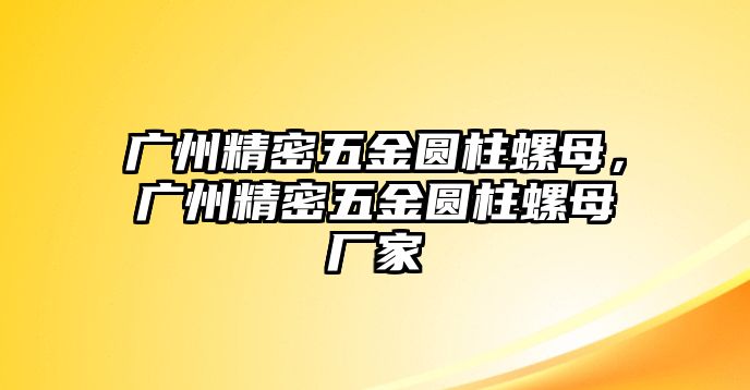 廣州精密五金圓柱螺母，廣州精密五金圓柱螺母廠家