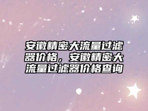 安徽精密大流量過濾器價(jià)格，安徽精密大流量過濾器價(jià)格查詢