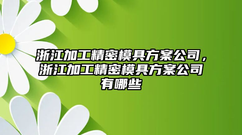 浙江加工精密模具方案公司，浙江加工精密模具方案公司有哪些