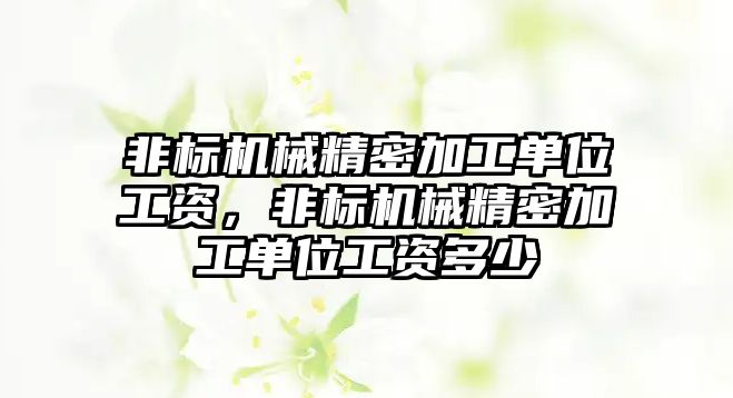 非標機械精密加工單位工資，非標機械精密加工單位工資多少