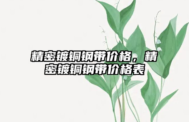 精密鍍銅鋼帶價格，精密鍍銅鋼帶價格表