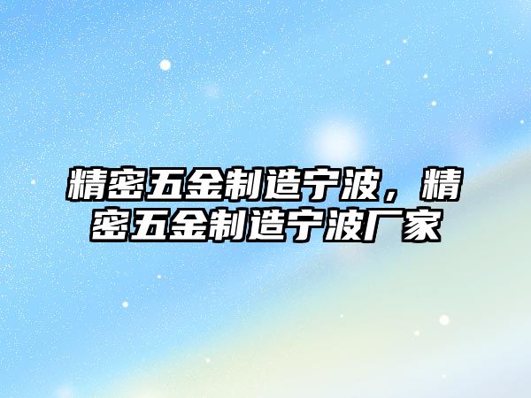 精密五金制造寧波，精密五金制造寧波廠家