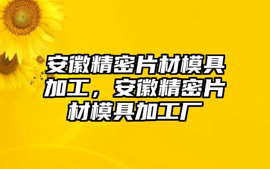 安徽精密片材模具加工，安徽精密片材模具加工廠