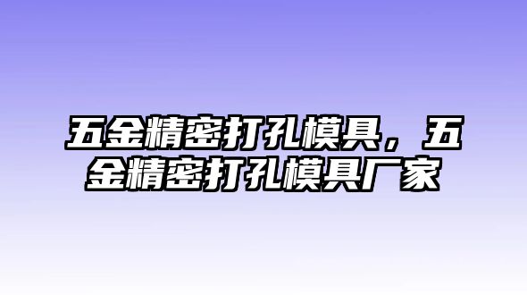 五金精密打孔模具，五金精密打孔模具廠家