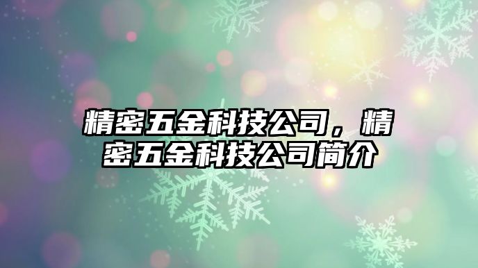 精密五金科技公司，精密五金科技公司簡介