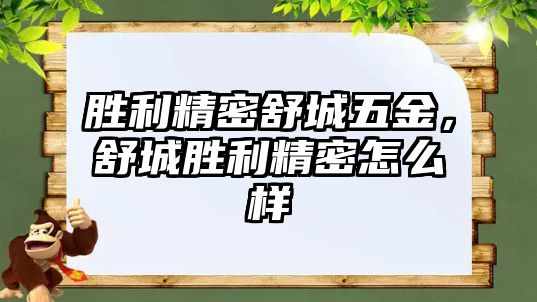 勝利精密舒城五金，舒城勝利精密怎么樣