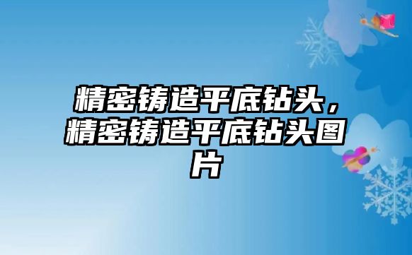 精密鑄造平底鉆頭，精密鑄造平底鉆頭圖片