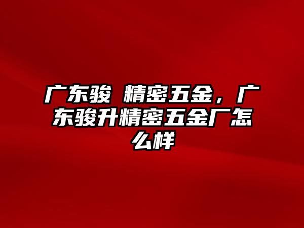 廣東駿昇精密五金，廣東駿升精密五金廠怎么樣