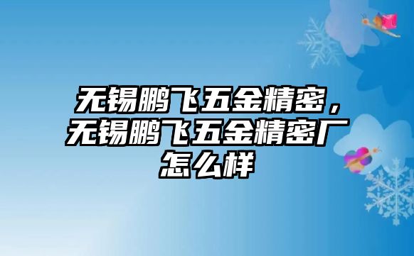 無錫鵬飛五金精密，無錫鵬飛五金精密廠怎么樣