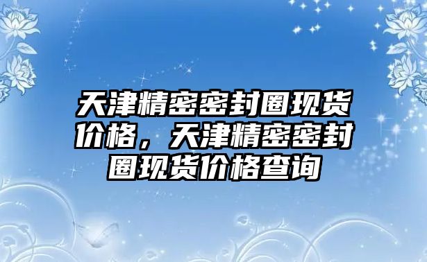 天津精密密封圈現(xiàn)貨價(jià)格，天津精密密封圈現(xiàn)貨價(jià)格查詢