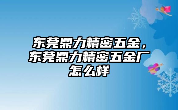 東莞鼎力精密五金，東莞鼎力精密五金廠怎么樣