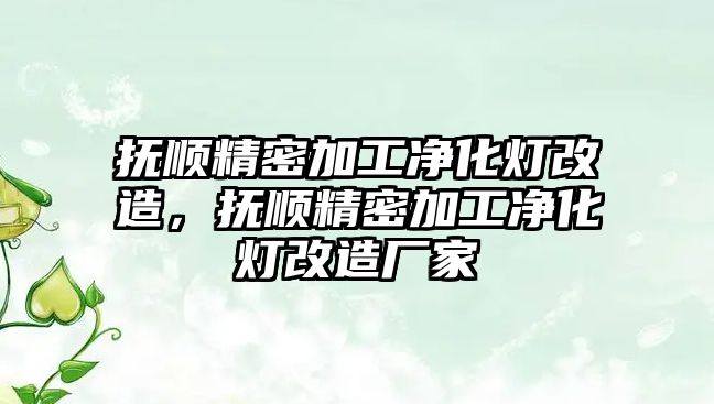 撫順精密加工凈化燈改造，撫順精密加工凈化燈改造廠家