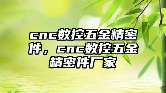 cnc數(shù)控五金精密件，cnc數(shù)控五金精密件廠家