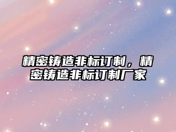 精密鑄造非標(biāo)訂制，精密鑄造非標(biāo)訂制廠家