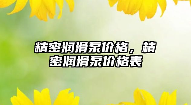 精密潤滑泵價格，精密潤滑泵價格表