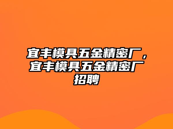 宜豐模具五金精密廠，宜豐模具五金精密廠招聘