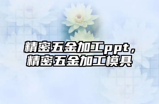 精密五金加工ppt，精密五金加工模具