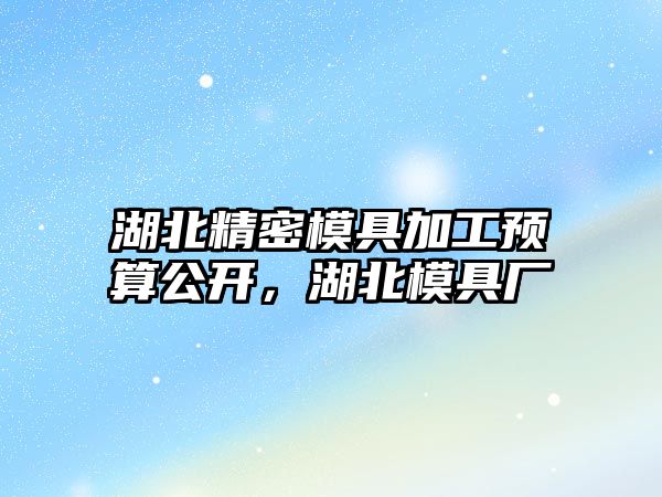 湖北精密模具加工預(yù)算公開，湖北模具廠