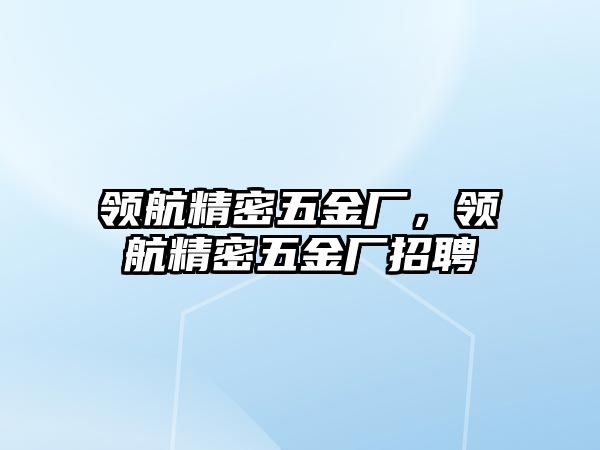 領(lǐng)航精密五金廠，領(lǐng)航精密五金廠招聘