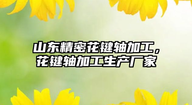 山東精密花鍵軸加工，花鍵軸加工生產廠家