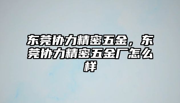 東莞協(xié)力精密五金，東莞協(xié)力精密五金廠怎么樣