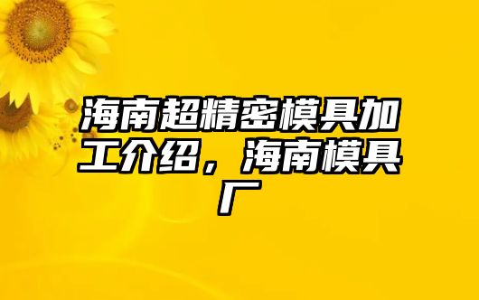 海南超精密模具加工介紹，海南模具廠